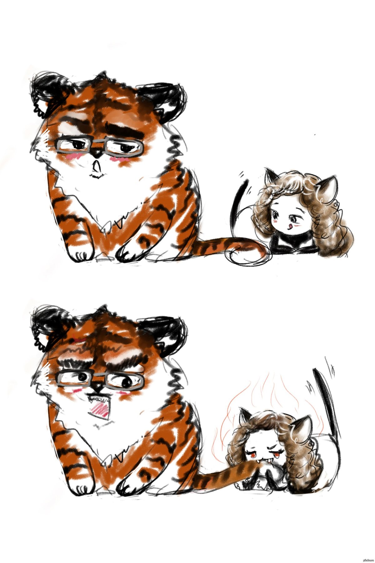 Тигр и кошка