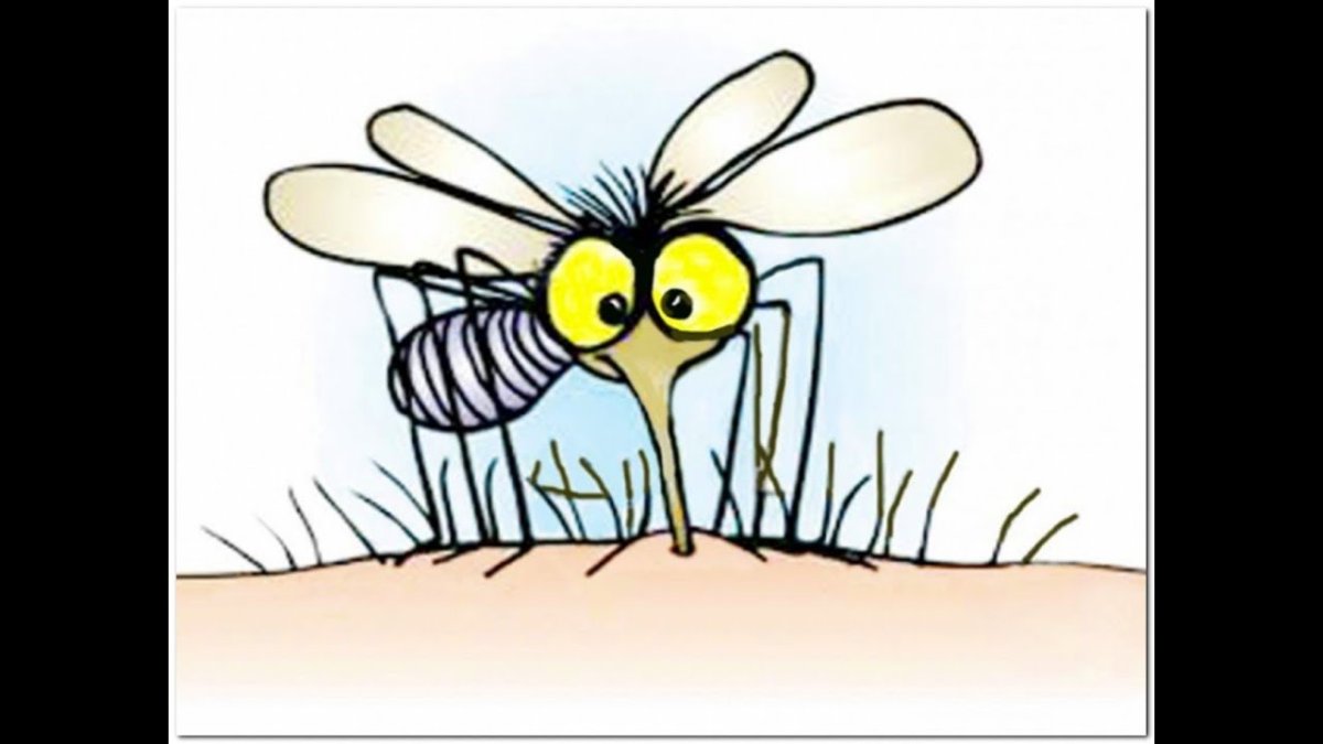 Смеющийся комар