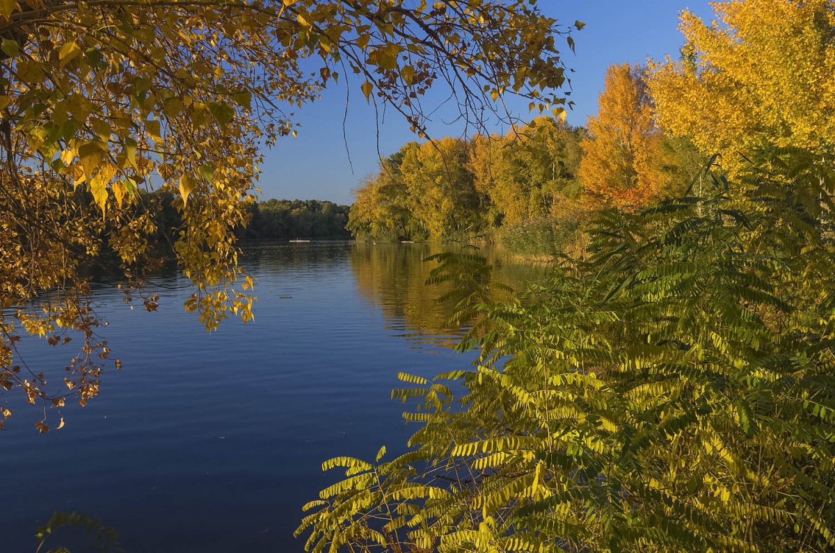 Золотая осень бабье лето