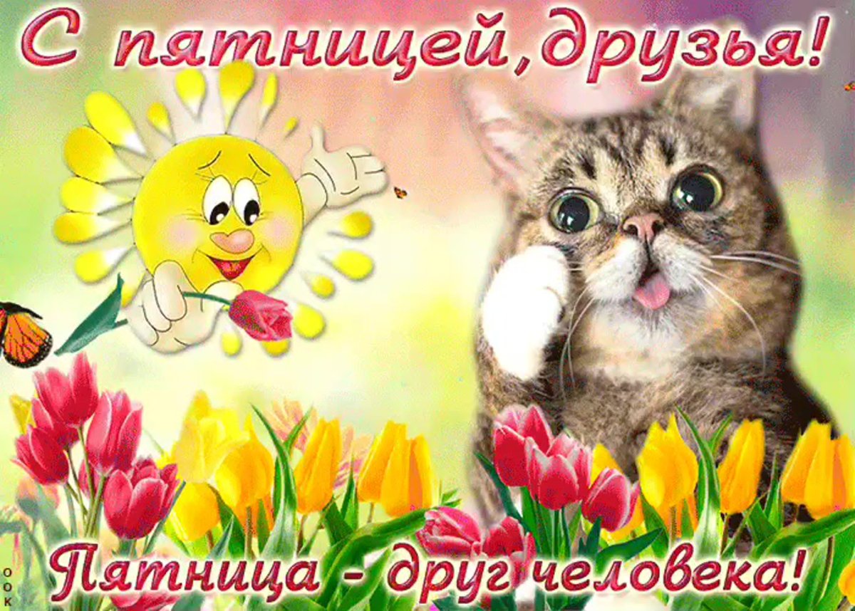 С пятницей солнечного настроения