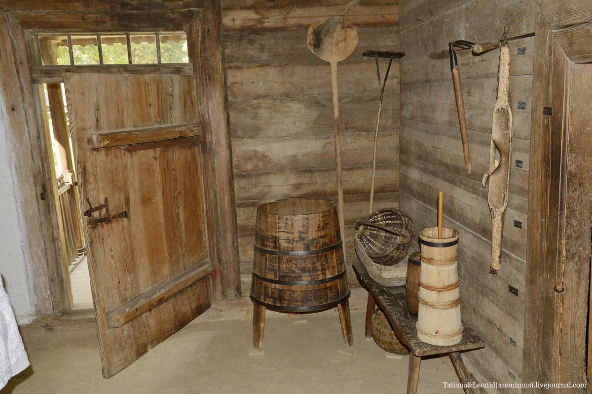 Сени в избе