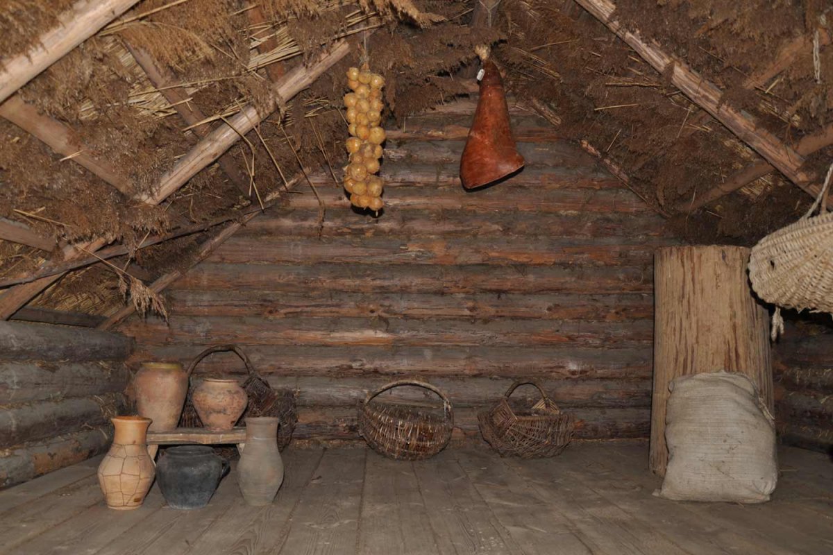 Деревенский дом с поветью