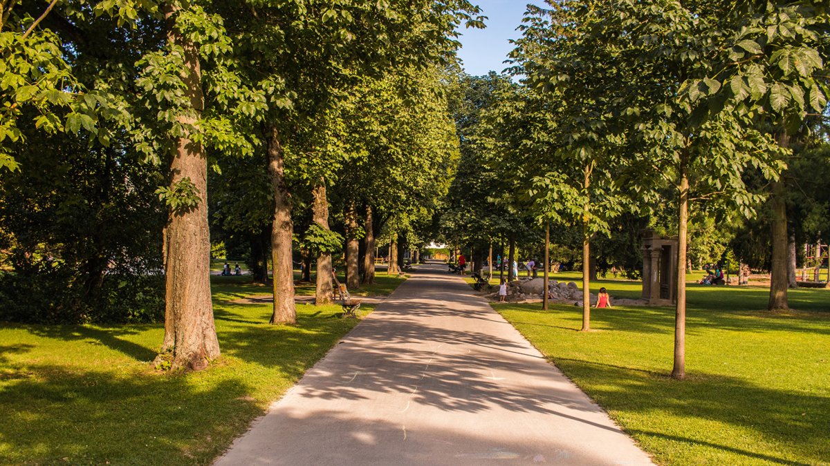 Пешеходная зона в парке