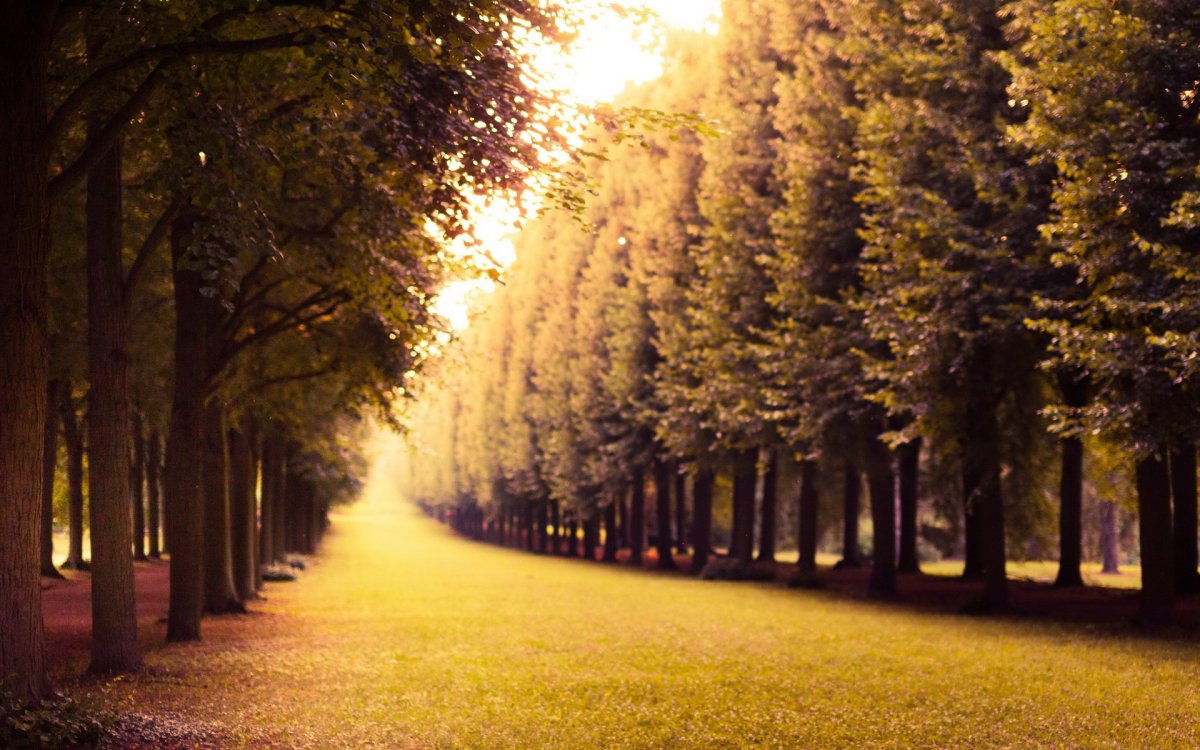 Парк для детей на прозрачном фоне