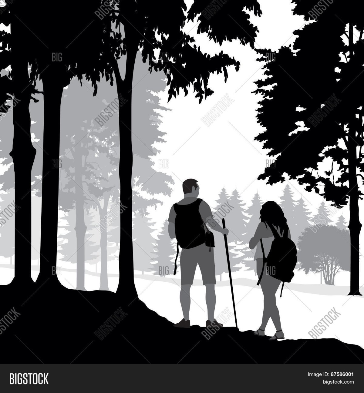 Дизайн аллеи рисунок