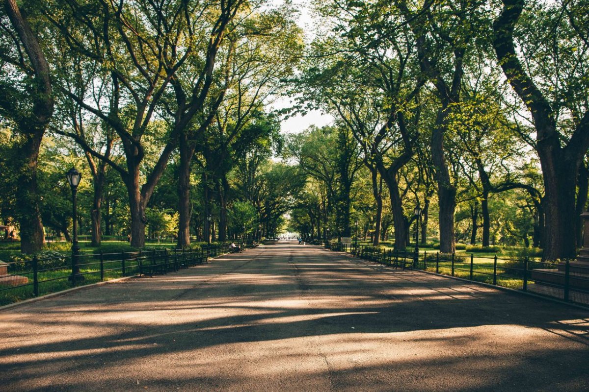 Апрельская аллея