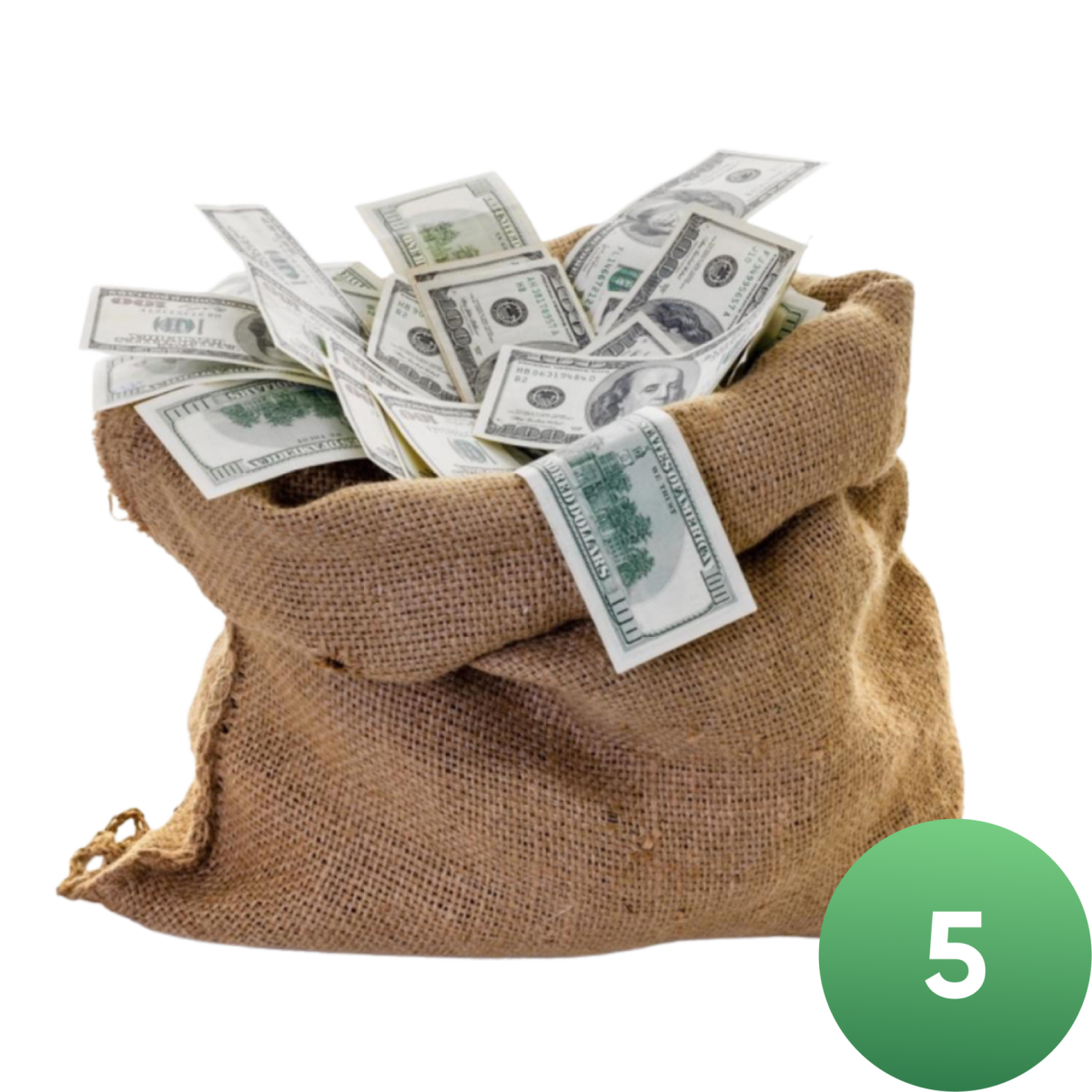 Мешок с деньгами