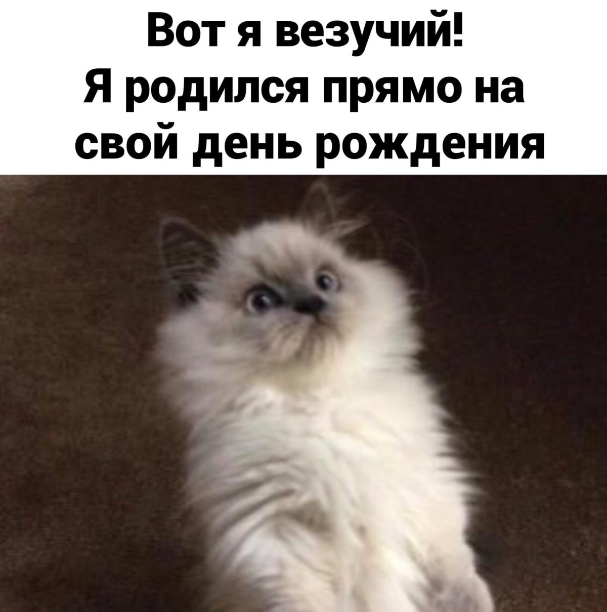 С днем рождения Мем