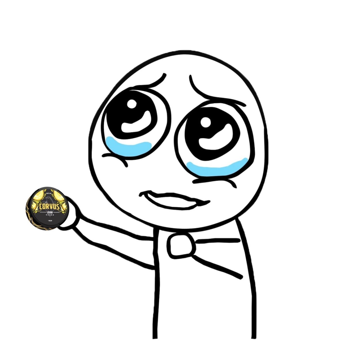 Каникулы закончились