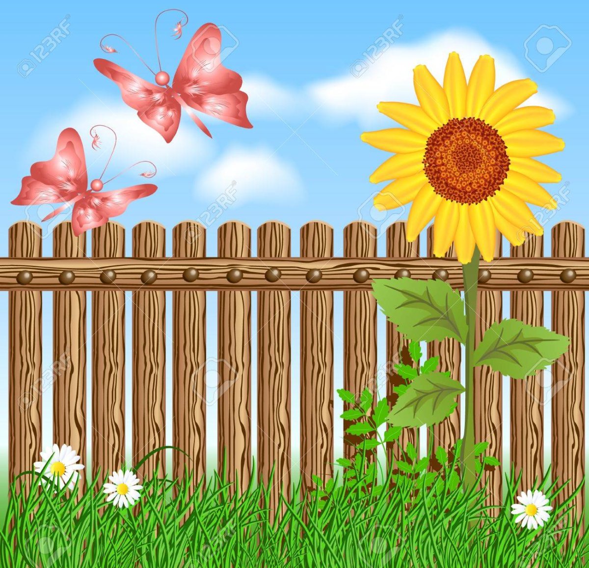 Деревянный забор с подсолнухами