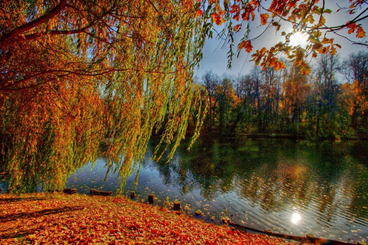 Грустная осень