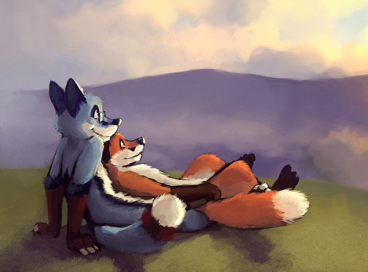 Енот и лиса арт