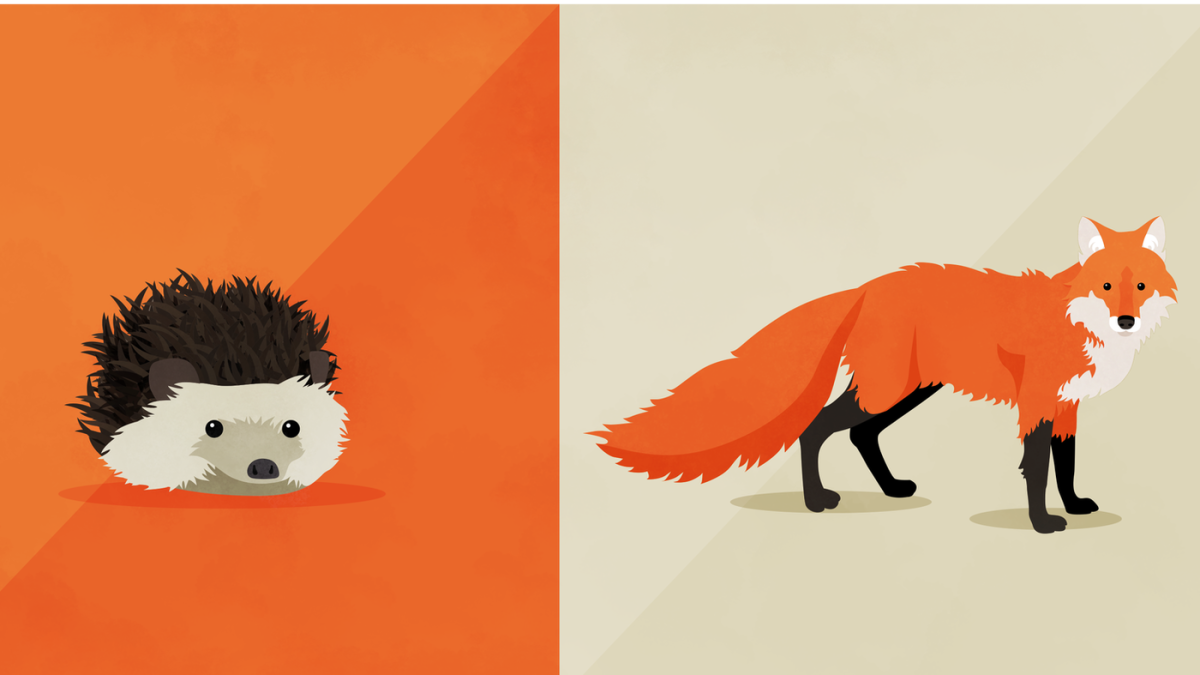 Лисы и Совы