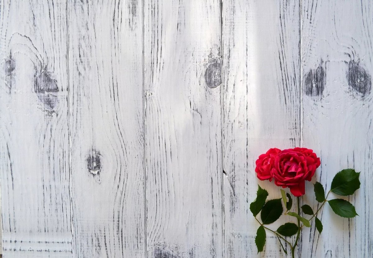 Фон для предметной съемки