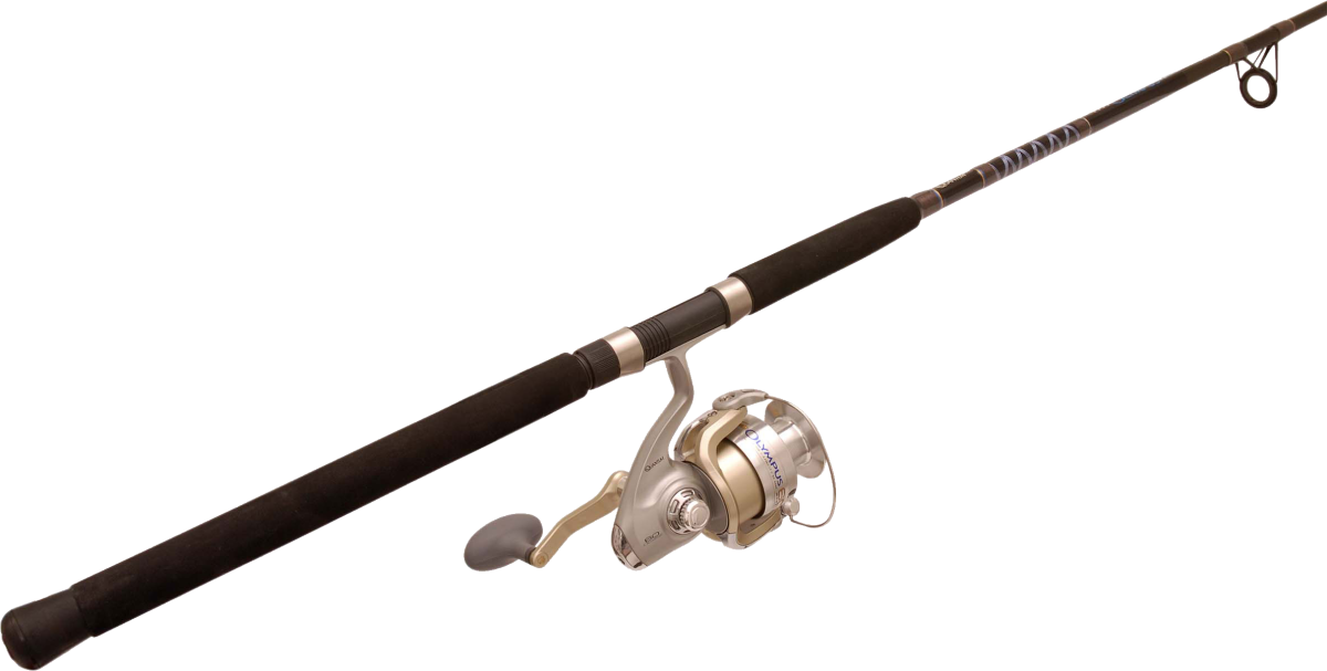 Спиннинг без фона