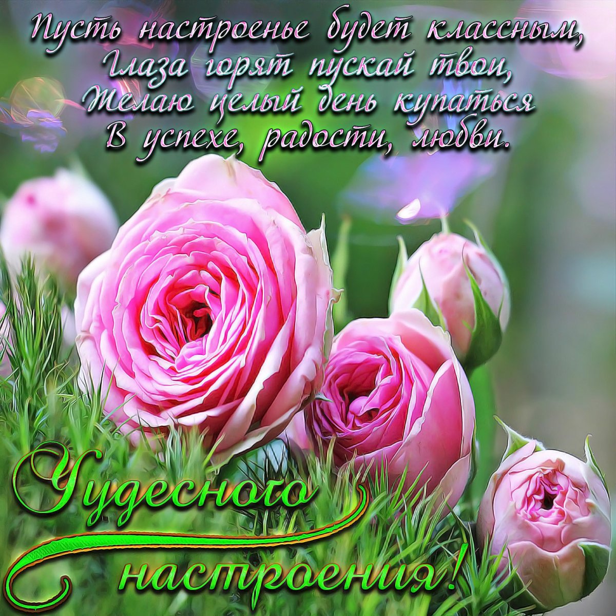 Красивые пожелания