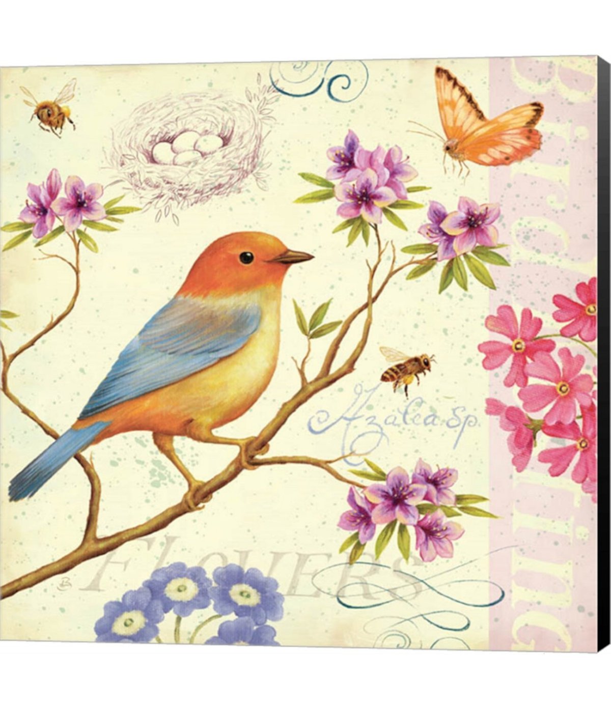 Птичка иллюстрация