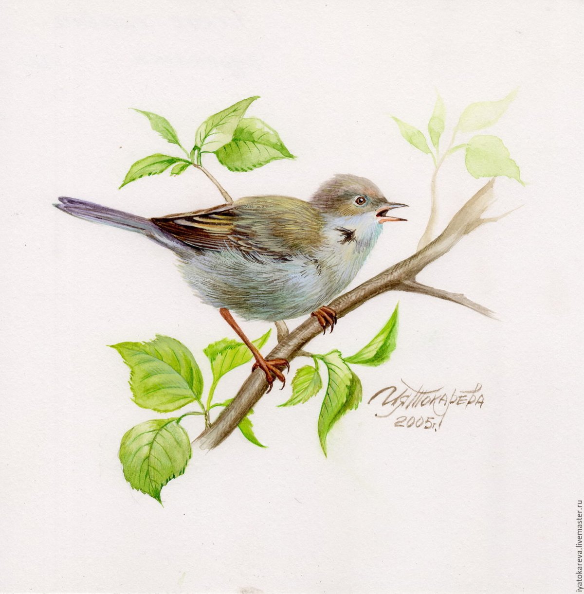 Соловей акварель