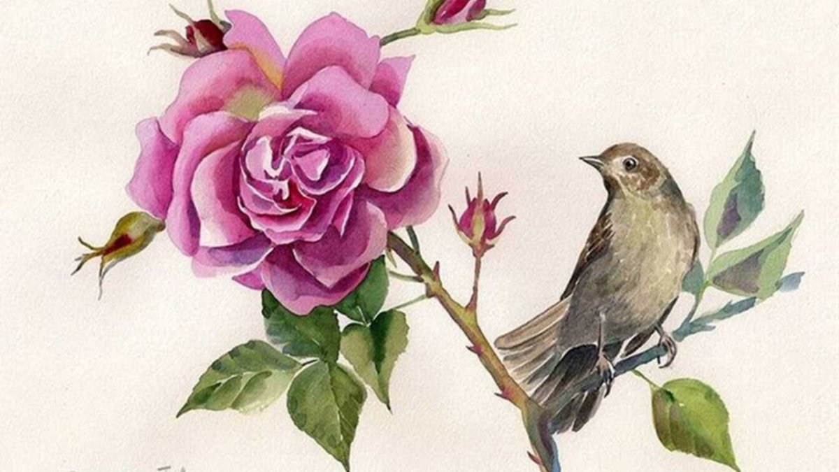 Уайльд Оскар "Соловей и роза"