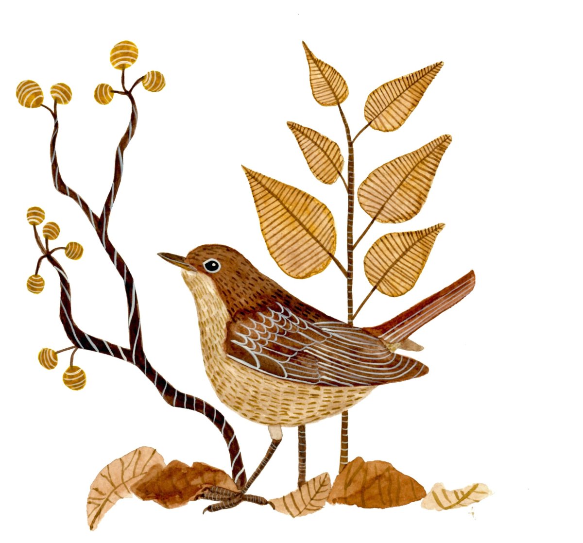 Соловей иллюстрация