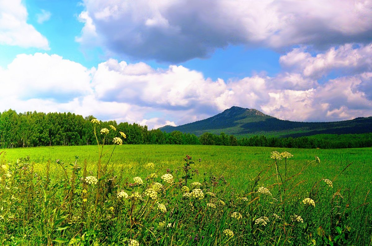 Дети лето зелень природа Башкирии