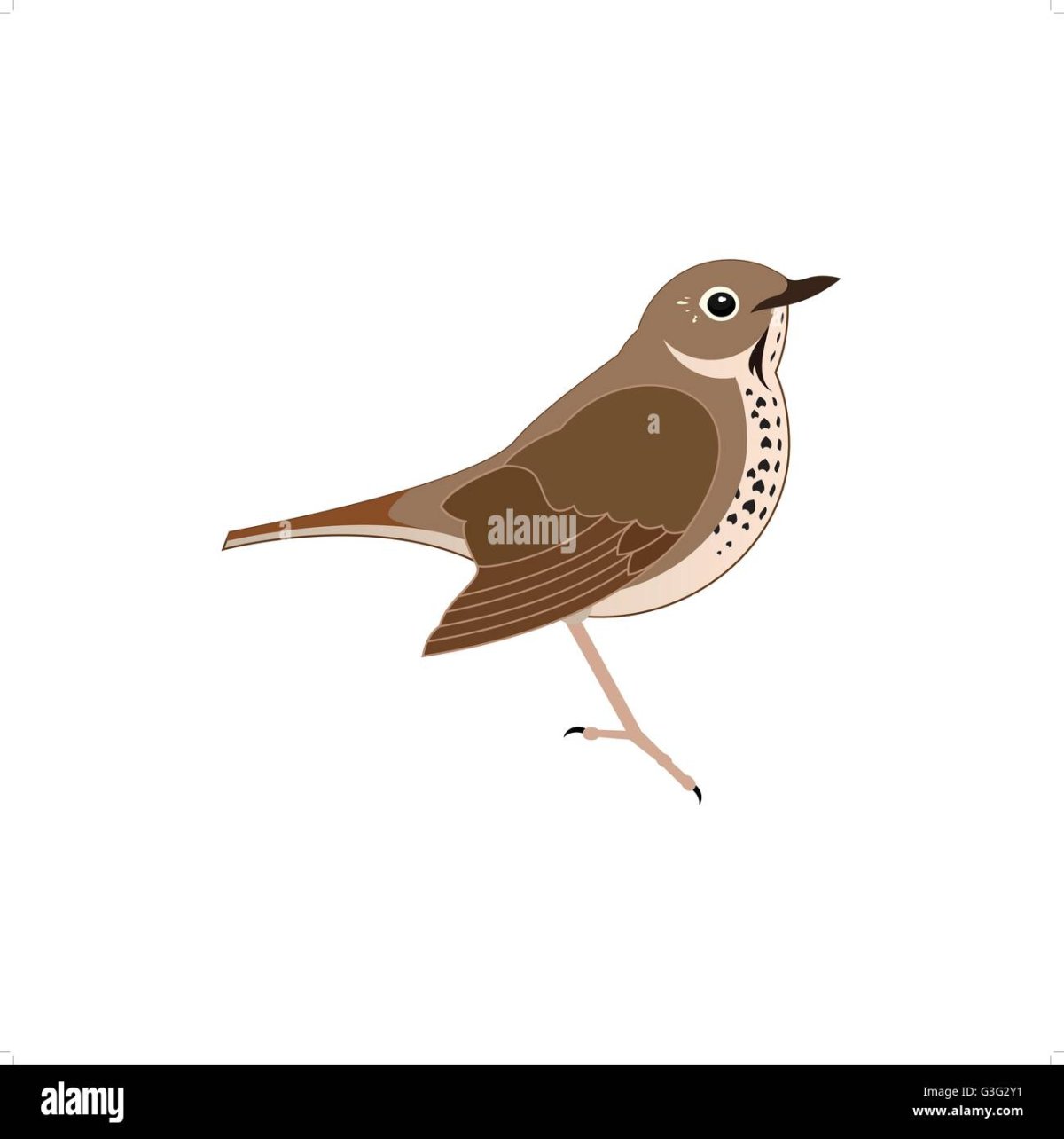 Виталий Бианки Подкидыш иллюстрации