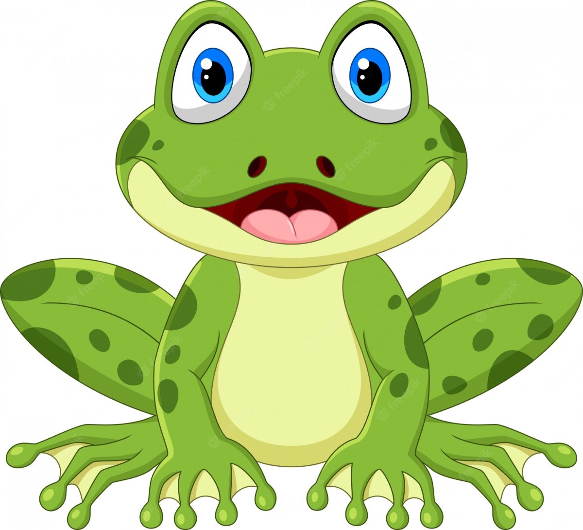 Жаба на белом фоне для детей