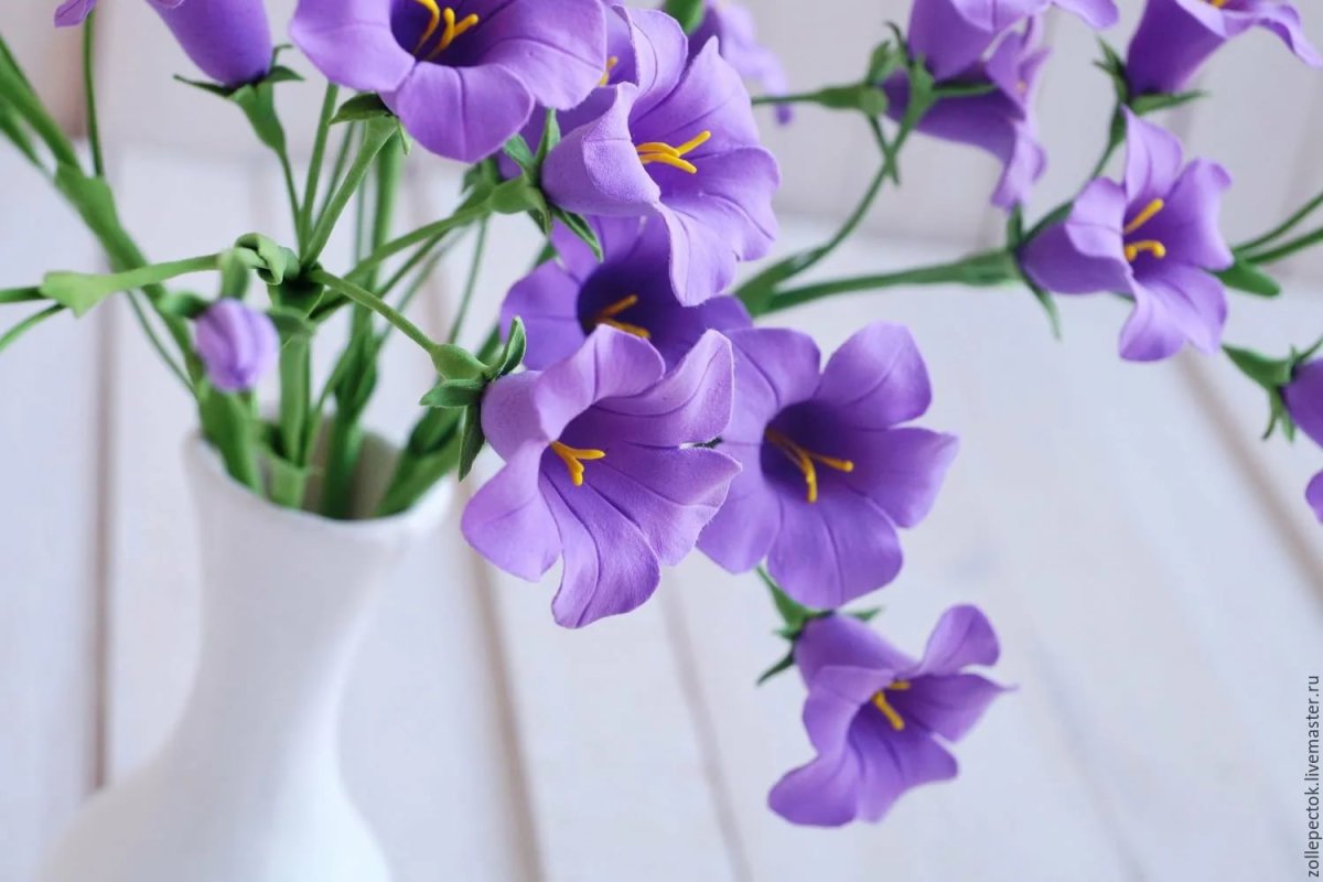 Колокольчики цветы букет