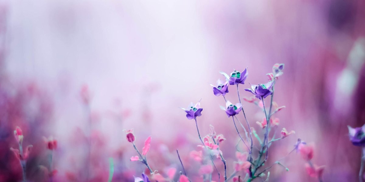 Красивый фон для твиттера