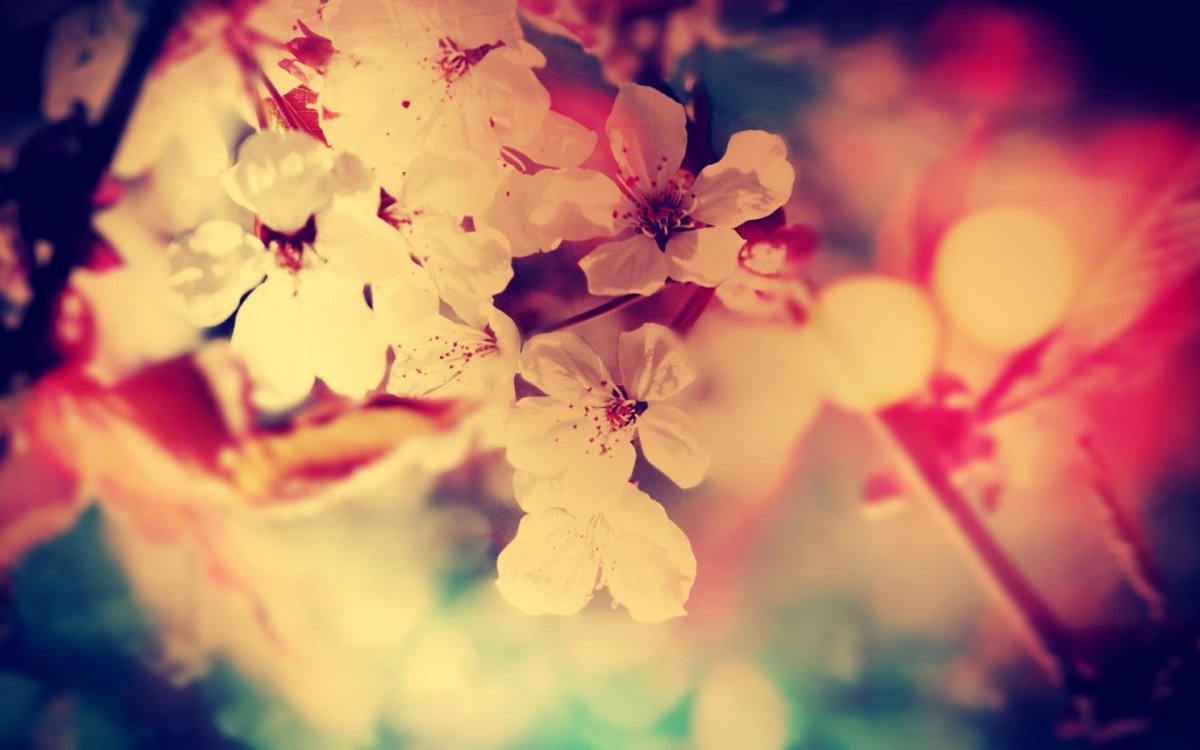 Весенний фон для баннера