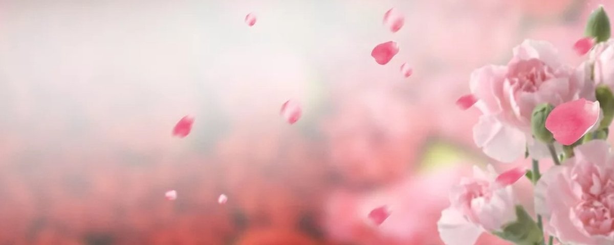 Обложка для ВК сиреневые цветы