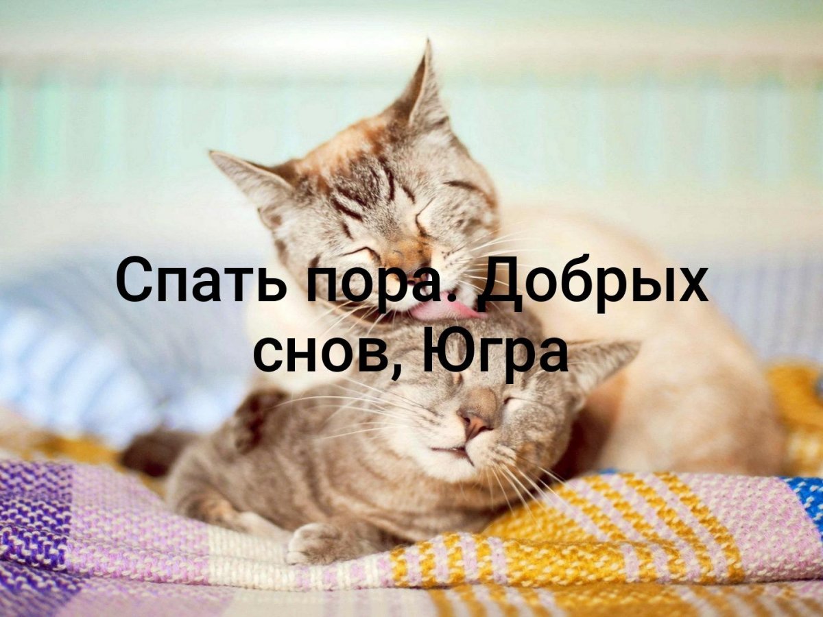 Спать пора спокойной ночи