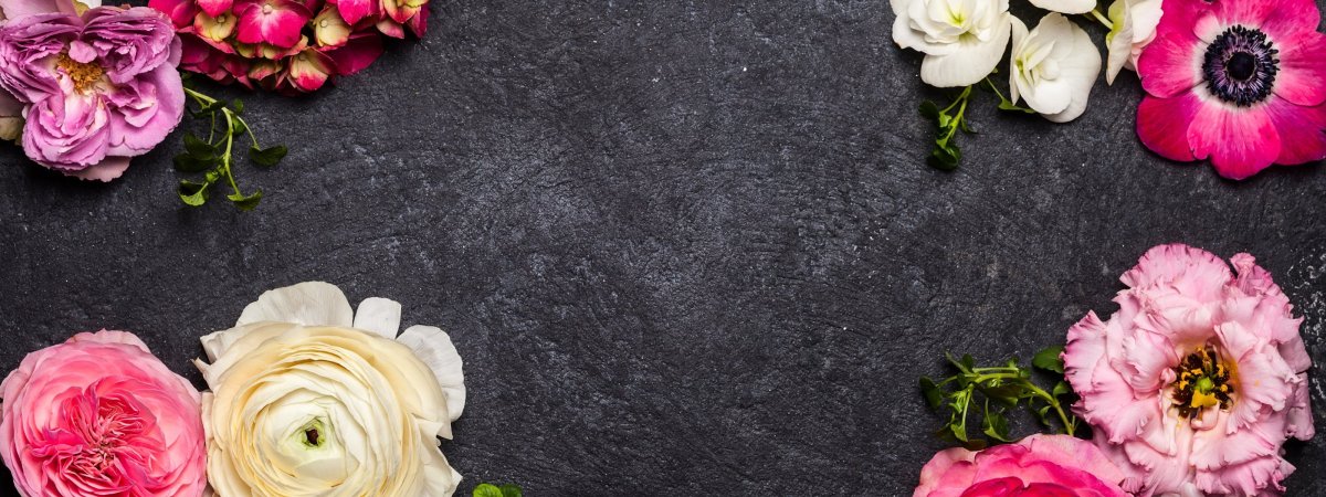 Розовые пионы фон