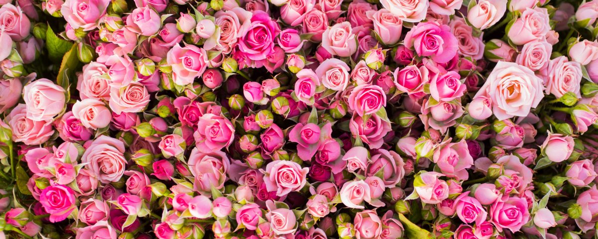 Фотофон деревянный с цветами