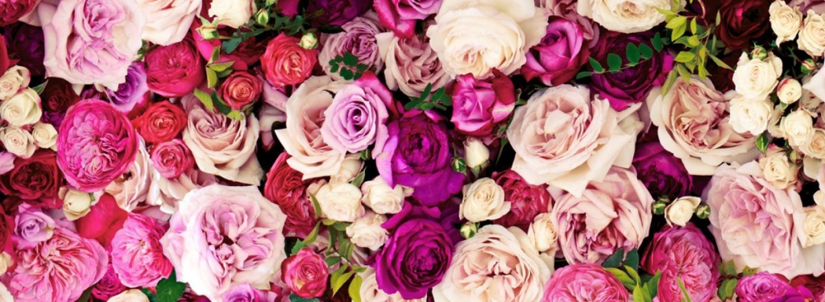 Маленькие розовые цветы