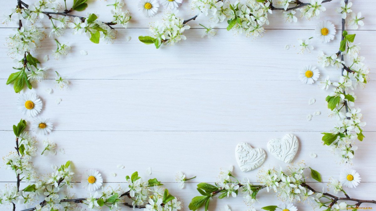 Фон цветочный нежный