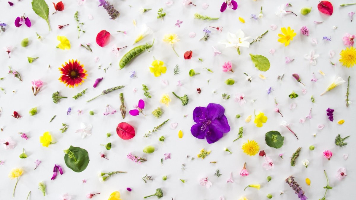 Красивые обложки