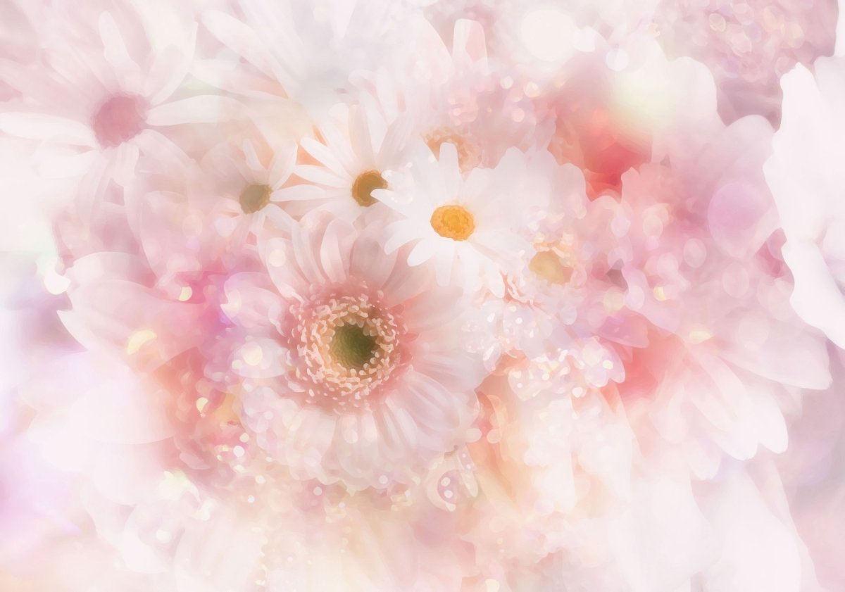 Баннер розы