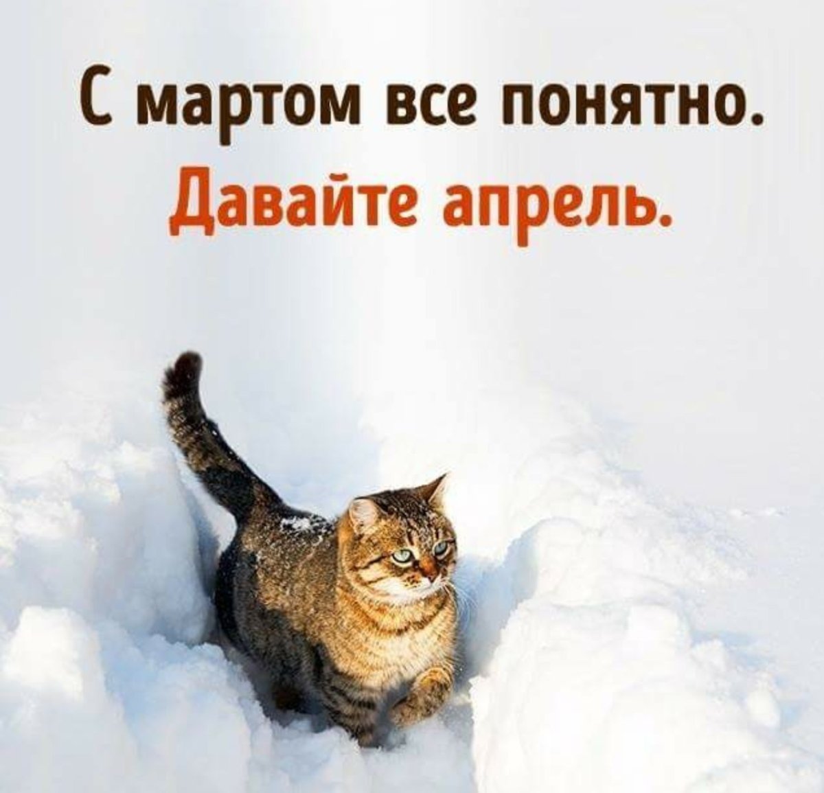 Весна пришла мешает метр снега