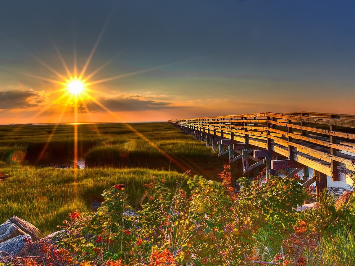 Новоиите земле помилованная