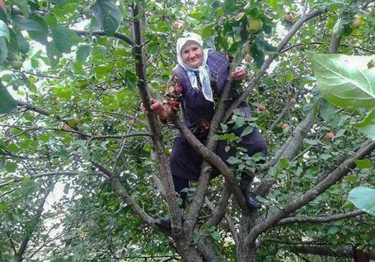 Шел 20 день карантина бабушка