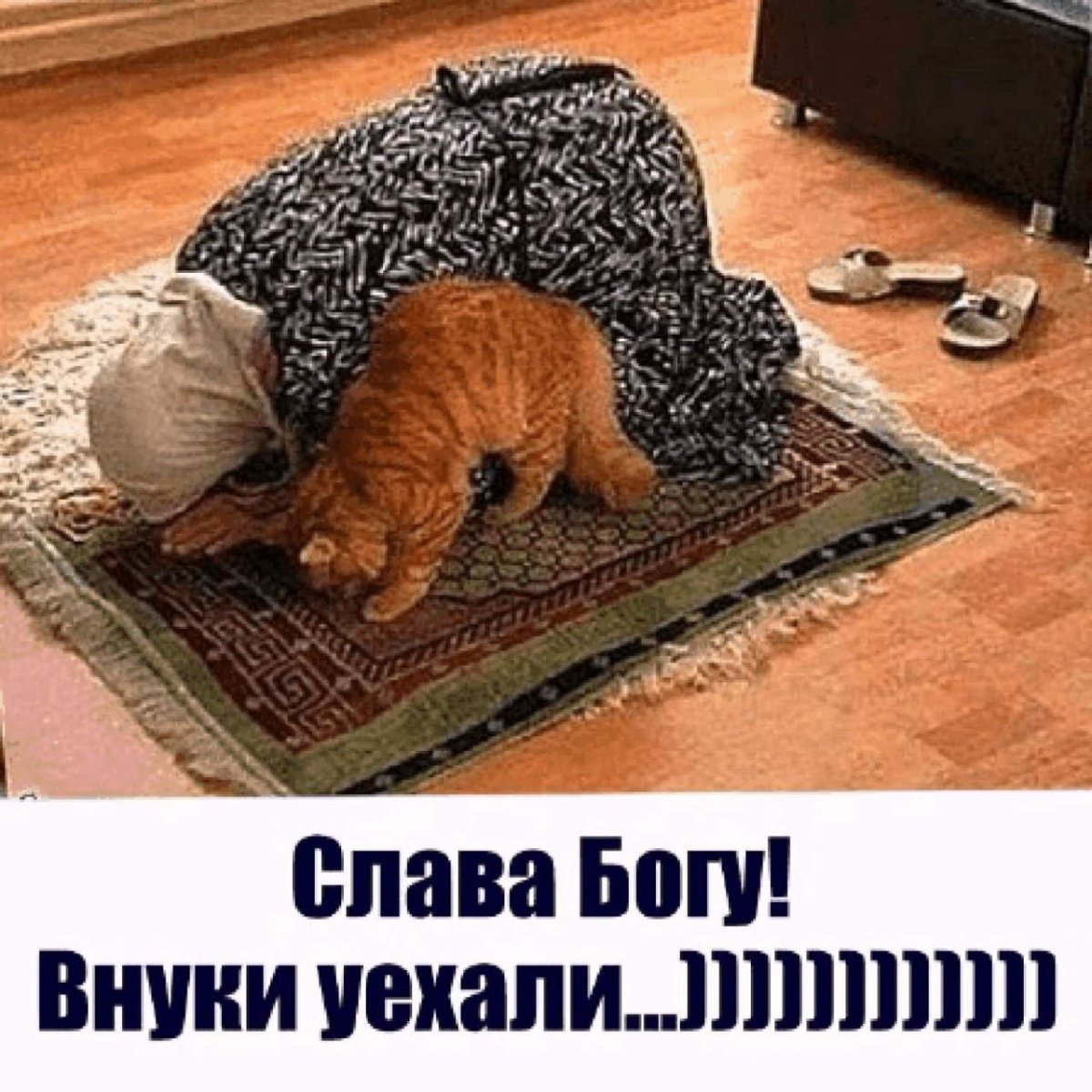 Внуки приехали