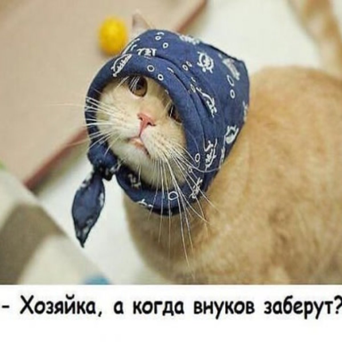 Платок с кошками