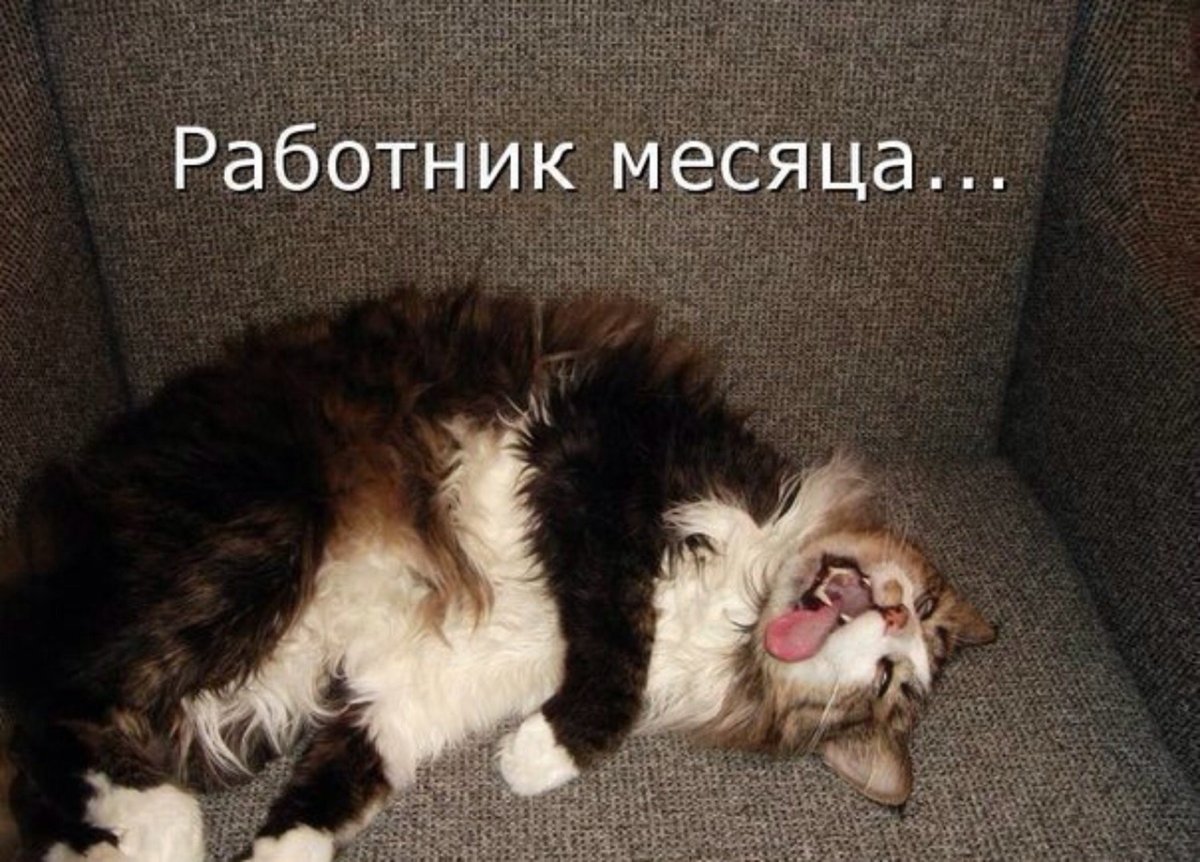 Бабушка пришла