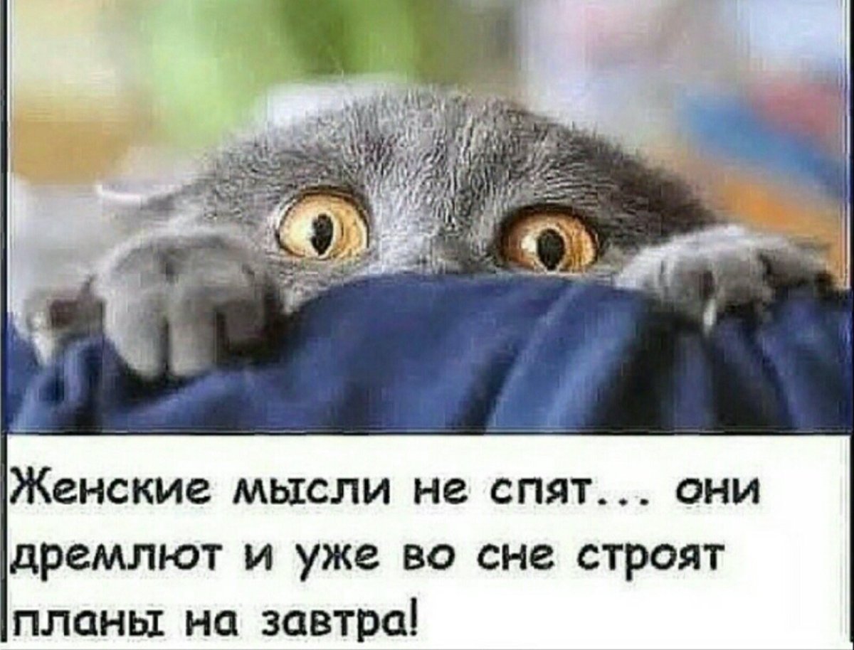 Приколы про внуков