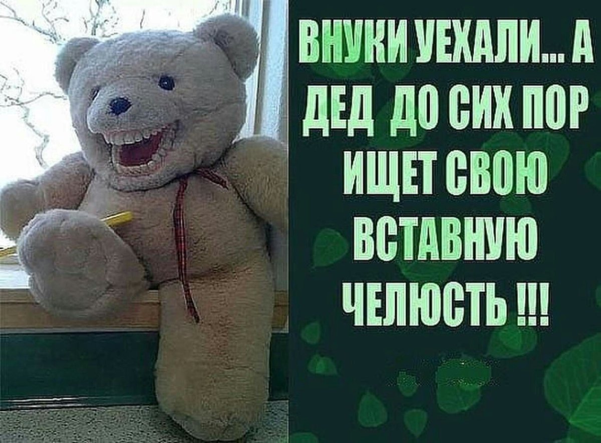 Дети мучают котов