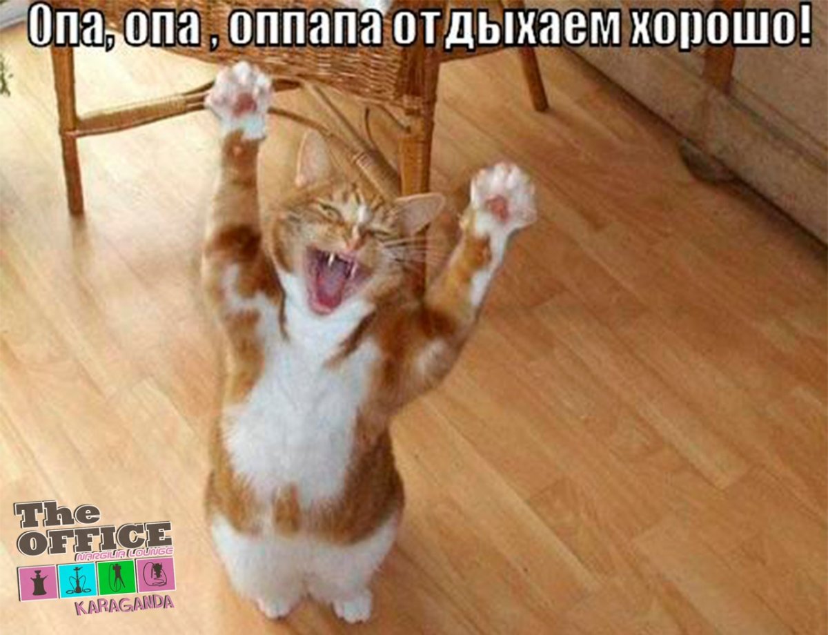 Смешные картины художников