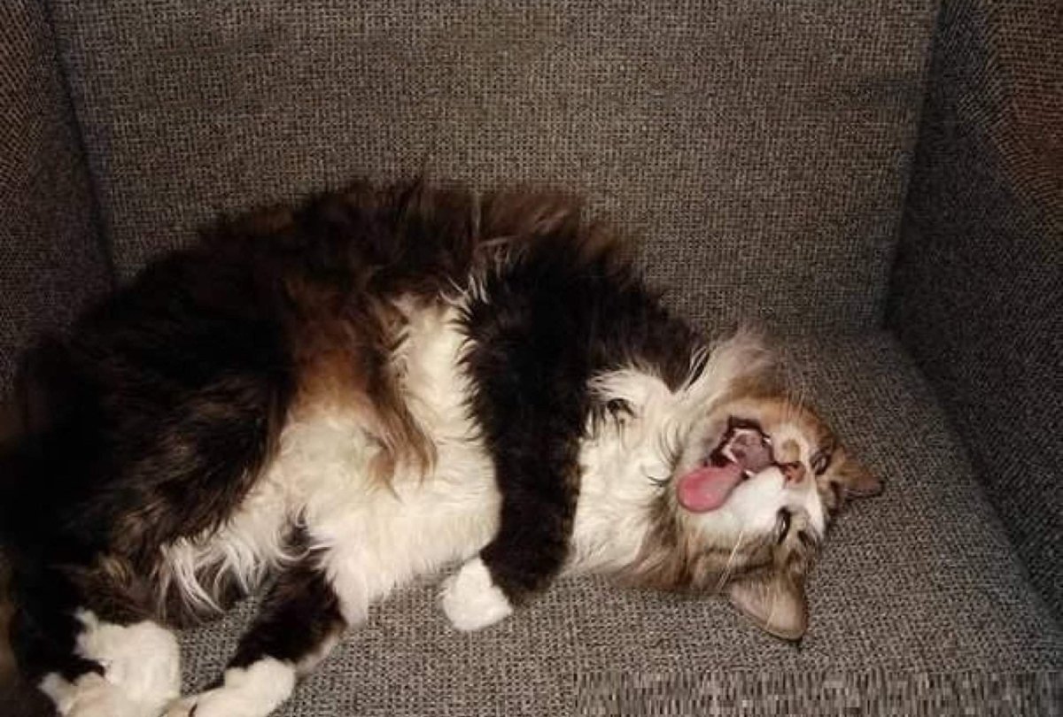 Смешные цитаты про понедельник