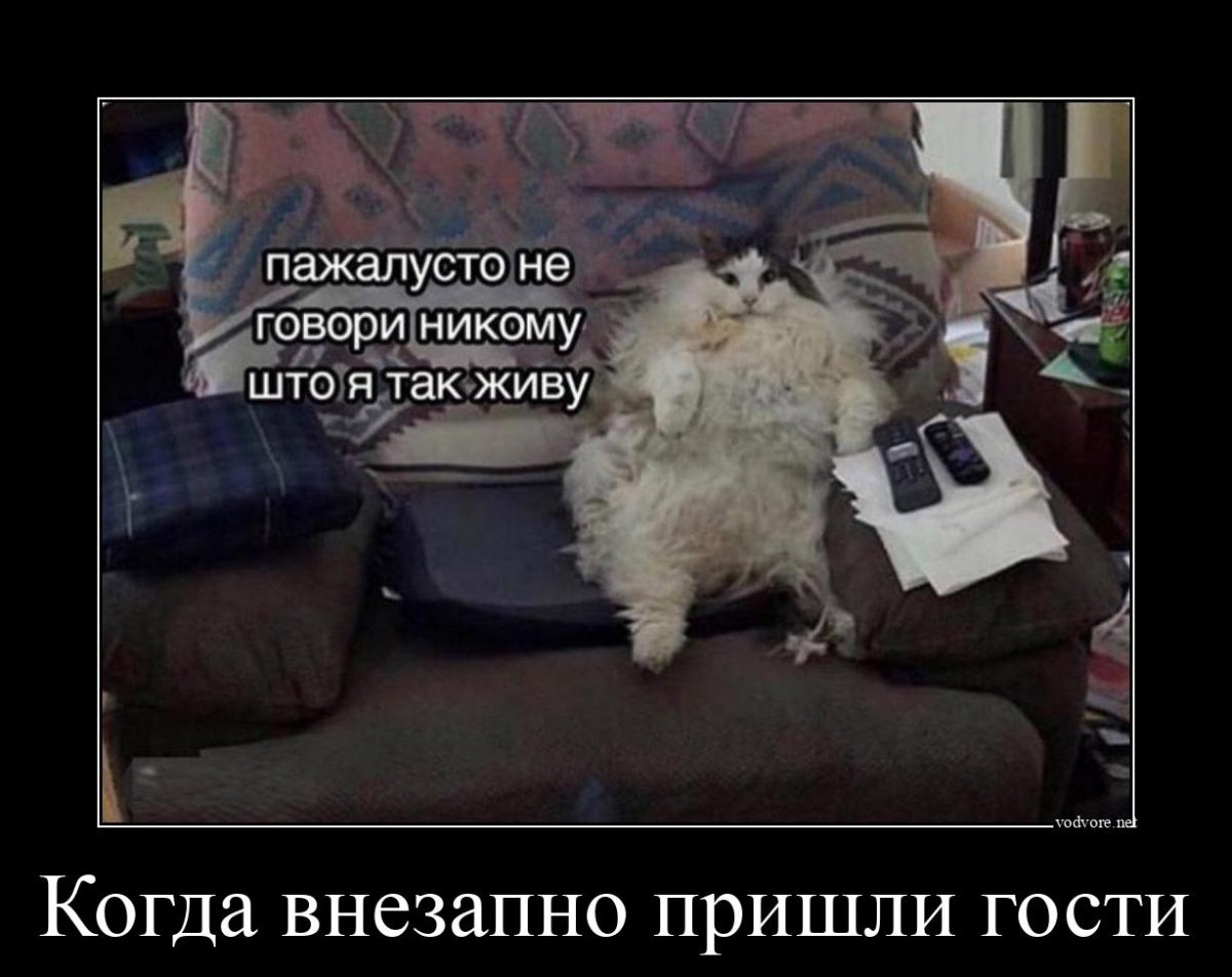 Бабка с чемоданом