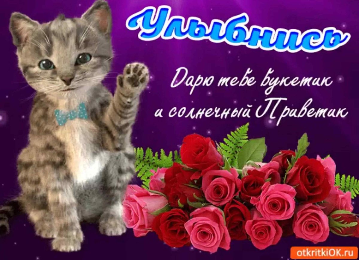 Доброго дня стильные